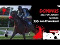 Dominus january 27 workout