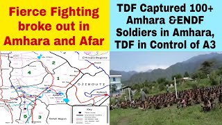 TDF | ENDF | Amhara Forces | Afar | Amhara