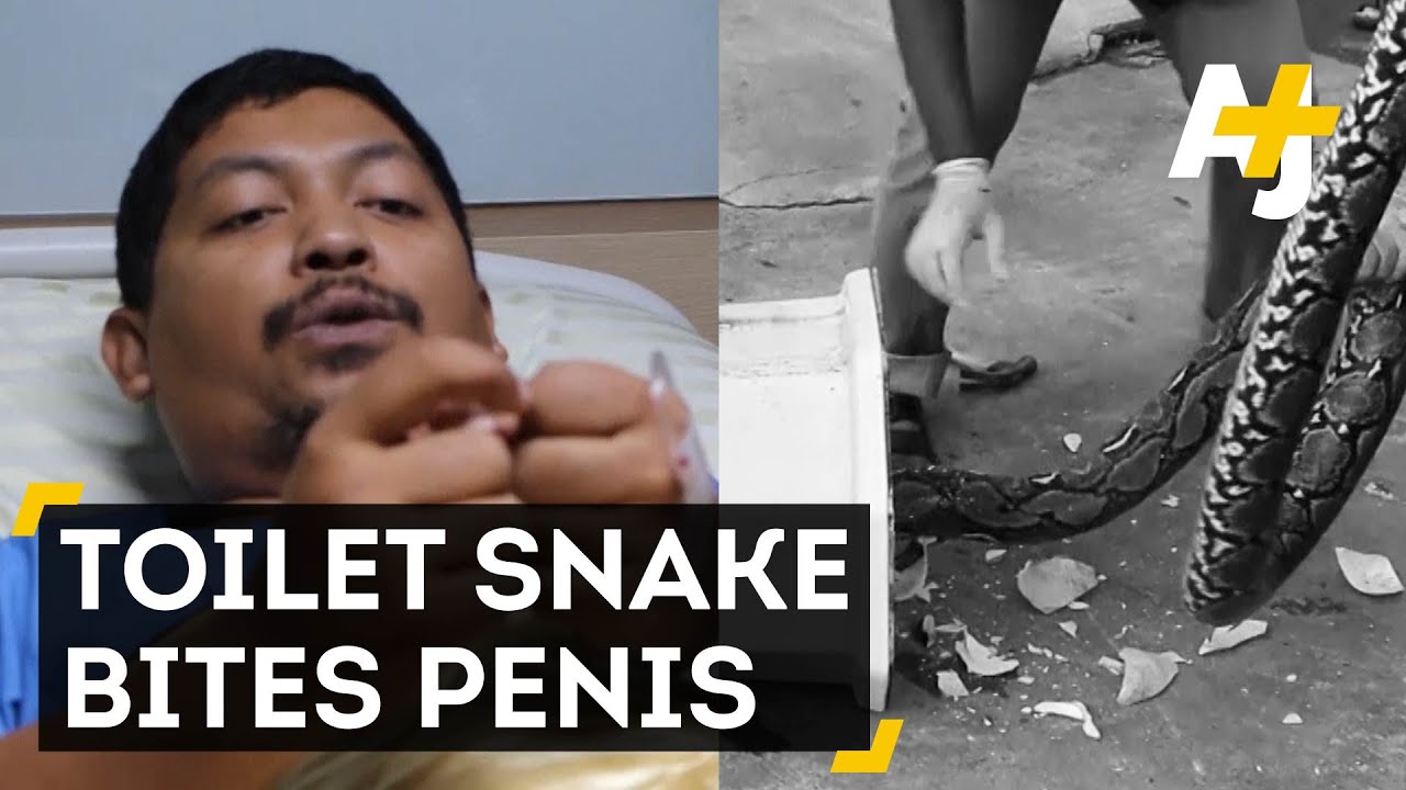 Image result for Python Bites Off Man’s Joystick As He Sat On The Toilet To Defecate In Thailand (Photos)