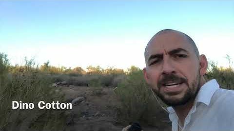 Rezeo iSeries AS400 Developer ad