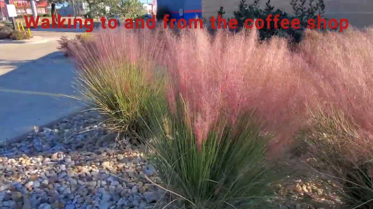 This was the blessed moment. A breath-taking landscape. #howto #landscape @follow-me @Video_Highway