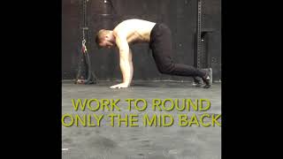 Bear Iso hold (protraction bias)