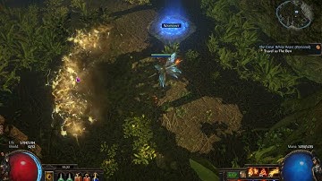 PoE - Testing AoE and Duration on Wave of Conviction