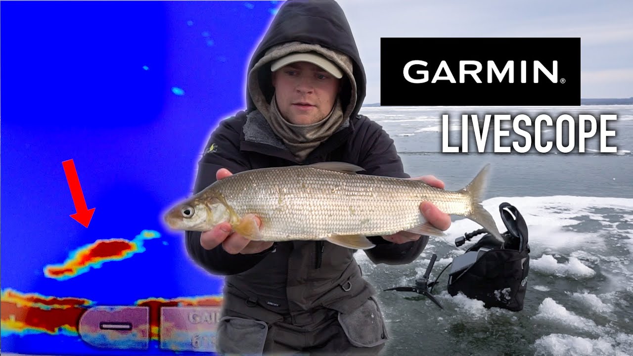 Green Bay Ice Fishing Whitefish 2023 (HOW TO)