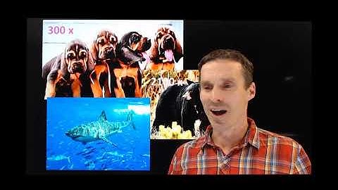 The Limit of Detection