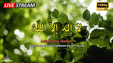 LAILAHAILLALLAH Dhikr for Relaxation, Calm and Easy Sleep #12