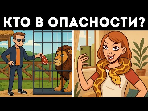 100+ загадок, которые могут спасти вам жизнь в джунглях