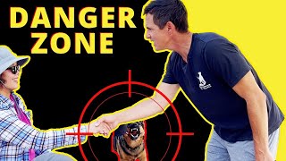 How to Fix a Dog's Aggressive Behavior Towards People  Intense & indepth training session