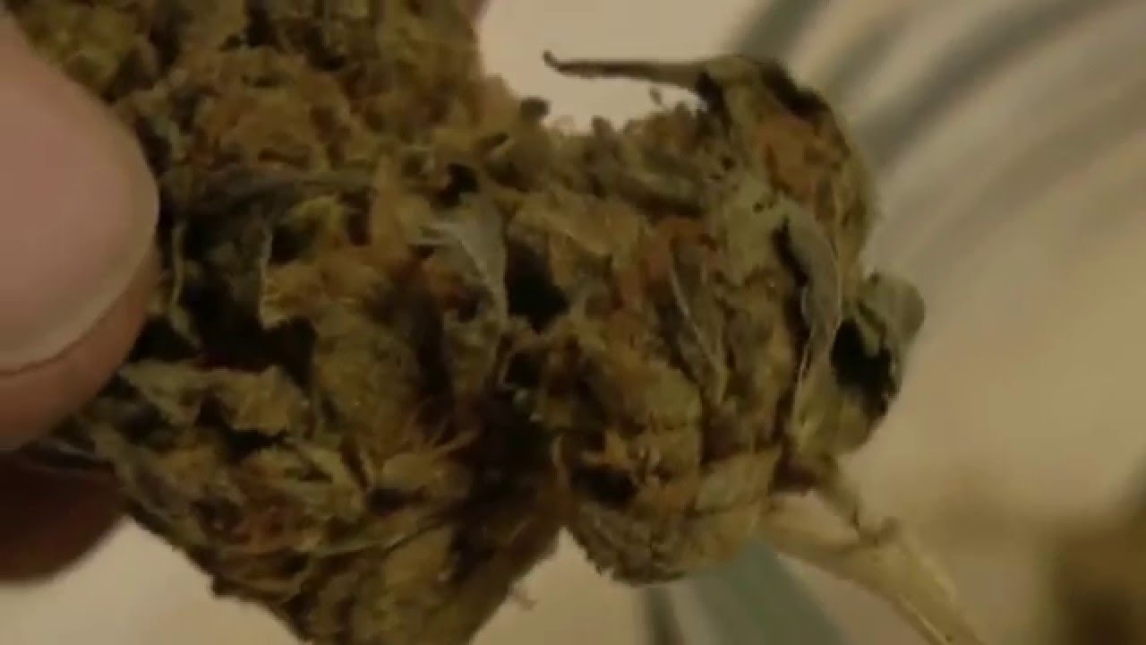 Rosin Tech DAB in 2 mins