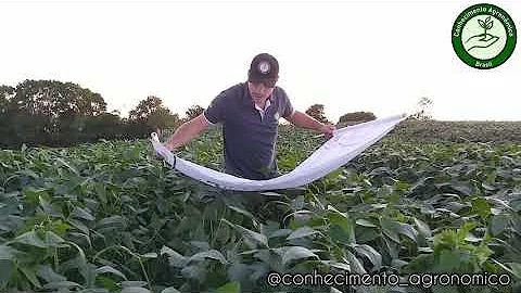 Como fazer o pano de batida?