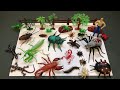 Toy Animals and Insects Farm. Spider and Cockroach Zuru Robo Alive.