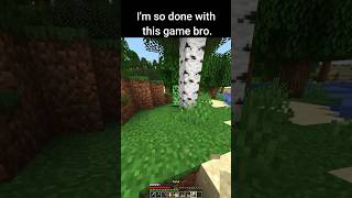 Minecraft meme