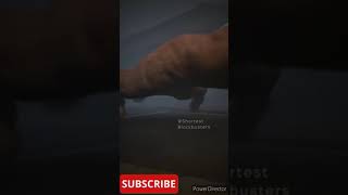 The Tickle Monster Is Looking For You.