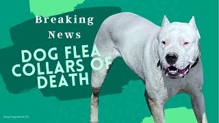 Dog Flea Collars of Death (News Report) by Dogo Argentino USA 918 views 3 years ago 7 minutes, 59 seconds