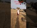Delhi live blog#village life style#agriculture #Indian farming
