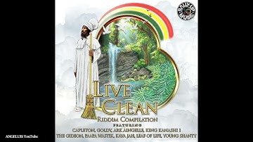 Arkaingelle - Perservere [Live Clean Riddim by Rally Up Music] Release 2021