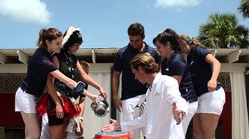 Denis Meyer - SandPiper