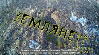 /уборка леса Крым/один мешок один человек/жесть мусор/#грязныйлес