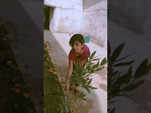 جنات تسكي الورد منشورات فقط الذكره فقط