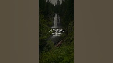 ﴿وَهُوَ الَّذي يَقبَلُ التَّوبَةَ عَن عِبادِهِ ﴾ من سورة الشورى بصوت الشيخ عبدالرحمن العوسي