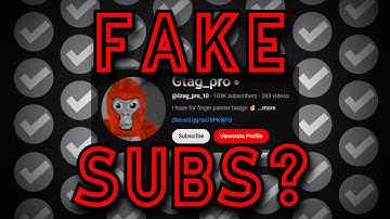 Does This YouTuber SUB BOT? (Gtag_pro)