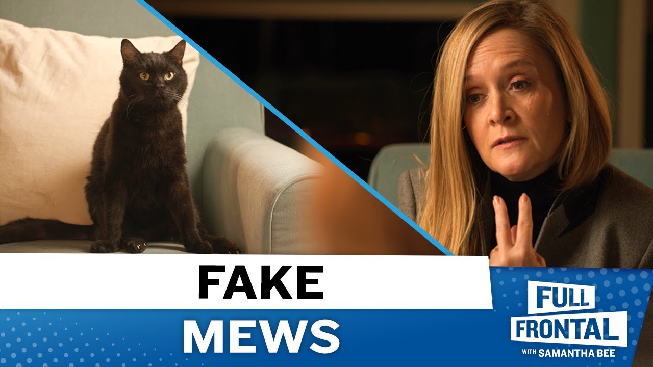 Sam And Cat Fakes