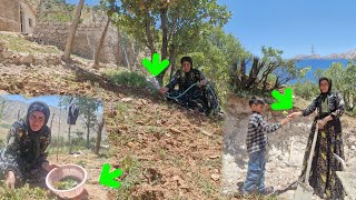 Mountain Shelter | Where a Strong Nomadic Mother Builds Life with Hard Work