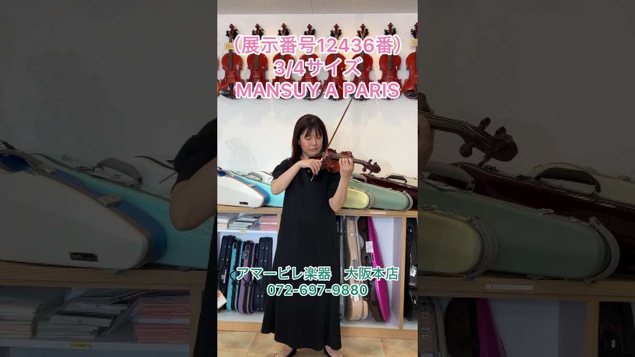 格安】子供用の分数バイオリン（3/4～1/2サイズ） - バイオリン卸売り