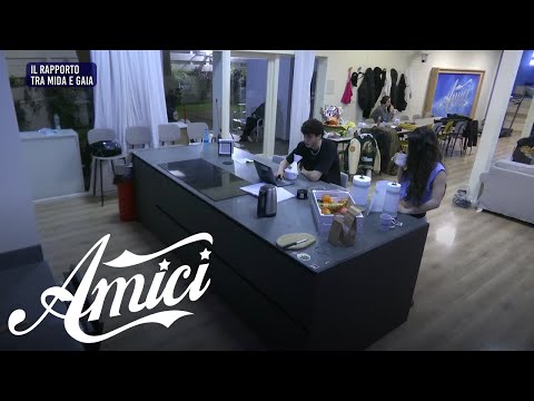 Amici 23 -