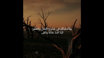 فَأُلْقِيَ السَّحَرَةُ سُجَّدًا قَالُوا آمَنَّا - القارئ شريف مصطفى - تلاوة هادئة