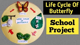 Model of Life Cycle of Butterfly or Silk Moth/School Project for Exhibition and Fair/Kansal Creation