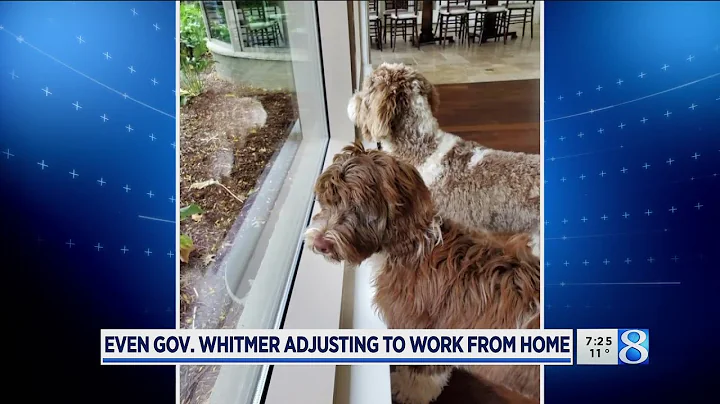 Even Gov. Whitmer adjusting to work from home