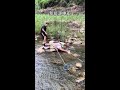 Outdoor Fishing Tips
