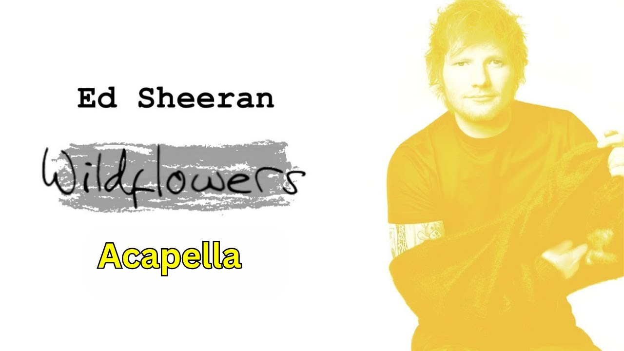 Ed Sheeran Wildflowers (Acapella 132bpm G Major) YouTube