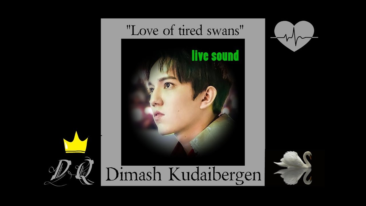 Димаш лебеди текст. Dimash - Love of tired Swans. Димаш Кудайбергенов лебеди. Димаш Кудайбергенов грешная страсть. Димаш Кудайбергенов лебеди текст.