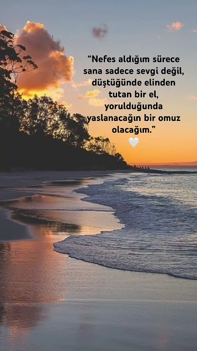 Bir Omuz. #sevgi #askbuyusu ##anlamlısözler #güzelsözler #sevgisözleri #damarsözler #aşksözleri