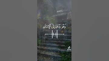 تلاوة خاشعة ومؤثرة 🥺 للقارئ إسلام صبحي حالات واتس دينية 🌹