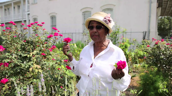 Locally grown: Jeanette Bell on cut-flower farming...