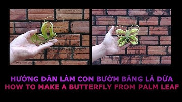 How to make a butterfly from palm leaf