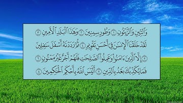 سورة التين - بندر بن عبدالعزيز بليلة