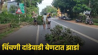 Chinchinim P’yat Clears Fallen Tree after Concerned Dept Allegedly Ignores || GOA365 TV