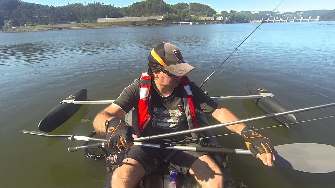 Lucio-percas de kayak Savage Gear - 4 walleyes on kayak Savage Gear 