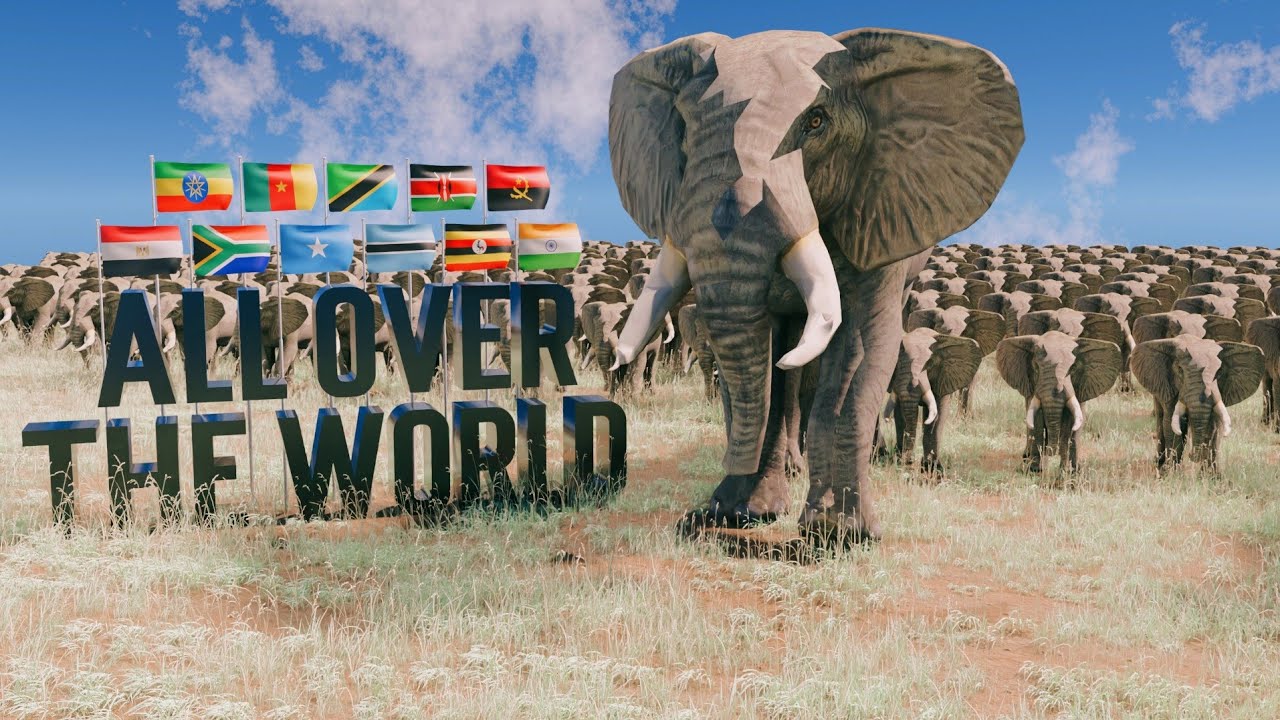 Elephant Populations Around the World 2023 YouTube