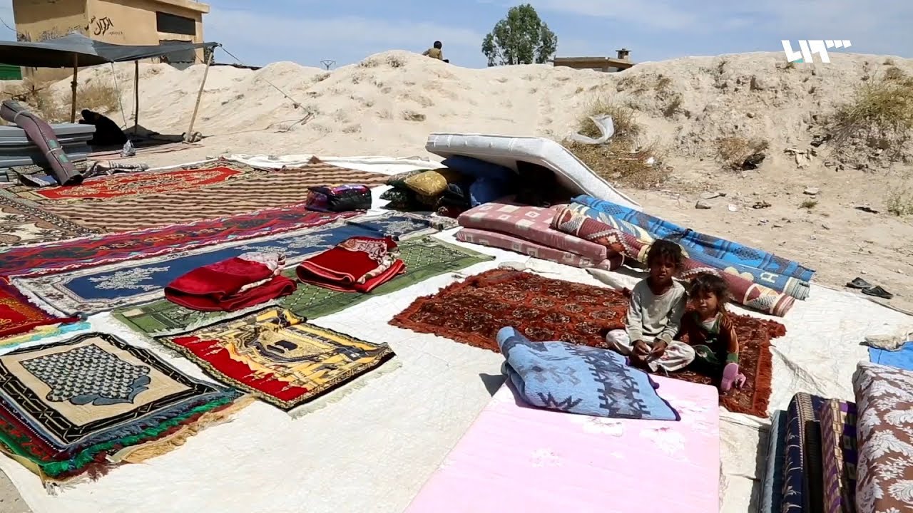 الحاجة شمسة العسكر .. نازحة في دير الزور تعمل في بيع السجاد بحثا عن قوت يومها