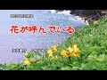 『花が呼んでいる』山内惠介 カラオケ 2021年6月16日発売