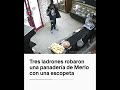 Tres ladrones robaron una panadería de Merlo con una escopeta