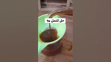 طريقة القضاء على النمل 