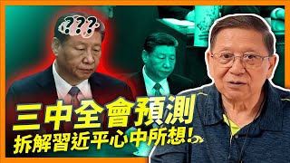 （中英字幕EngSub）三中全會是否有重大經濟發展轉向？逐點預測並解釋！我發夢夢到習近平心中所想！《蕭若元：理論蕭析》2024-05-02