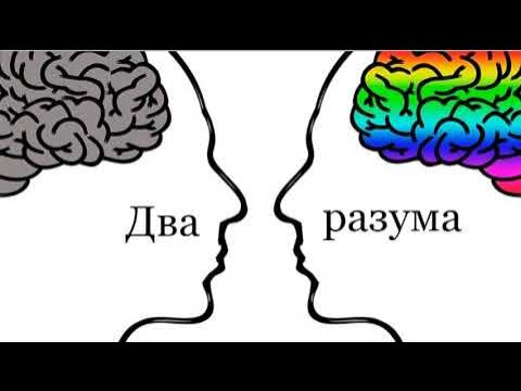 Разум 2 буквы. Характерные интервалы ступени таблица. Характерные интервалы сольфеджио таблица. На каких ступенях строится уменьшенное и увеличенное трезвучие. Разум 2 буквы.