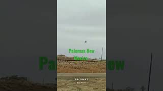 Palomas New Mexico